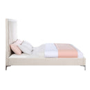 Faiz - Bed