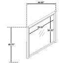 Leandro - Dresser Mirror - Burnished Black