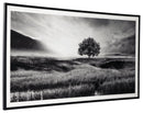 Deborland - Wall Art - Black / White