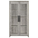 Alejo - 2 Door Engineered Wood Tall Cabinet - Gray Driftwood