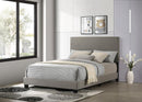 Dorian - Upholstered Panel Bed