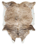 Sportsmen - Medium Rug - Brown